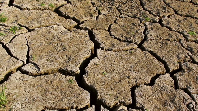 Dry cracked earth during drought