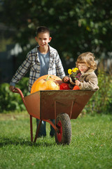 Obraz premium girl and boy with pumpkins in the garden