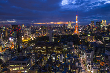Tokyo, city aerial skyscape view of buildings and street. Japan,