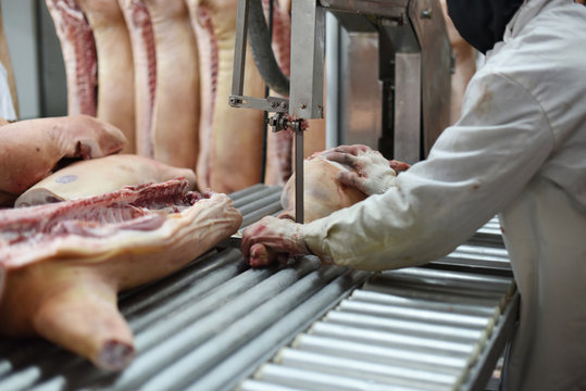 Cutting Of Pig Carcasses