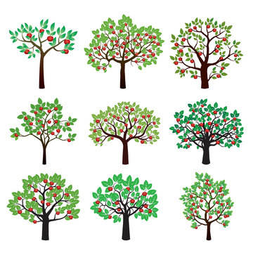 Set of Color Apple Trees. Vector Illustration.