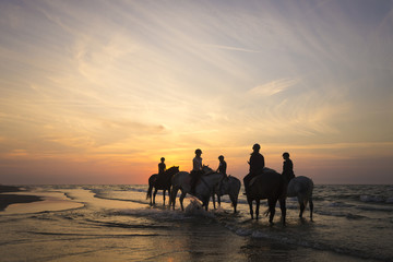 Fototapeta na wymiar Jeźdźcy na koniach jadący brzegiem morza o zachodzie słońca