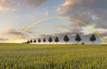 Tęcza nad polem © Mike Mareen