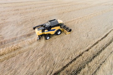Gelber M&auml;hdrescher bei der Getreideernte von oben, Luftbild