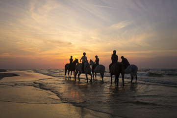 Jeźdźcy na koniach jadący brzegiem morza o zachodzie słońca