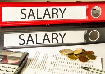 Salary (earnings, wage)