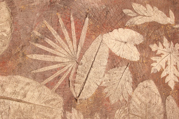 marks of leaf on the concrete