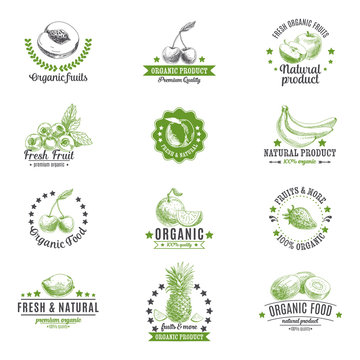 Vector set of labels, logos and hand drawn design elements with 