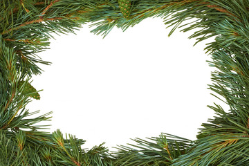 Traditional pine tree Christmas border