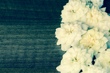 white roses
