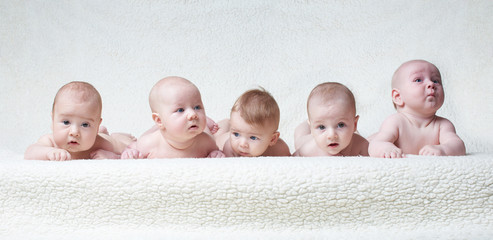 cute babies on light background