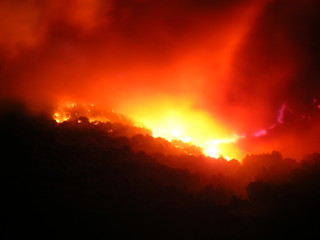 Incendio di un bosco nella notte