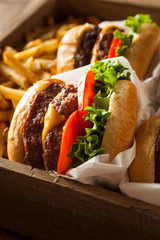 Double Cheeseburgers and French Fries