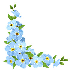 Blue forget-me-not flowers. Vector corner background.