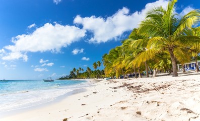 Caribbean beach in Dominican Republic