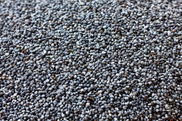 Macro of dried poppy seeds as a background.
