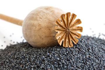 Detail of dried poppy seed pod resting on heap of seeds.