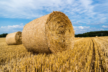Strohballen nach Ernte 04