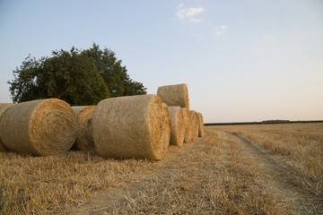 Straw bales