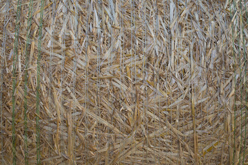 Straw bales
