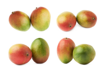 Two mango fruits isolated