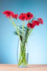Gerbera in a glass vase