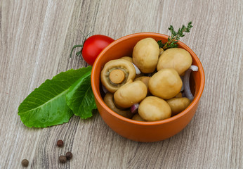 Pickled champignon