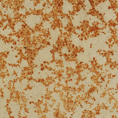 Old rusty metal plate with gray paint