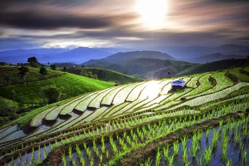 Foto auf Alu-Dibond Visual arts rice terraces © pornsakamp