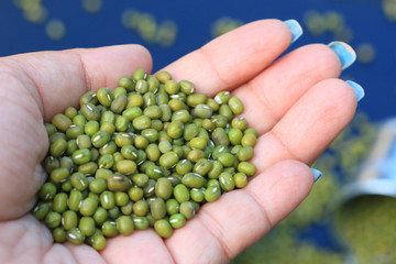 heap green beans dried