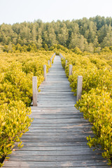 Obraz premium spring landscape