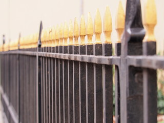 Iron fence black with golden tips, Leiden, Netherlands 2015