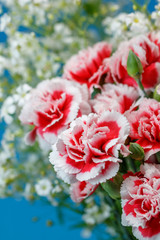 カーネーション