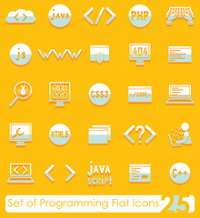 Set of programming icons
