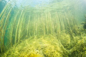 At the bottom of the river