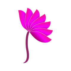 abstract pink lotus on white background