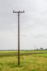 Fototapeta na wymiar Electricity poles on rice filed in in Mandalay, Myanmar 