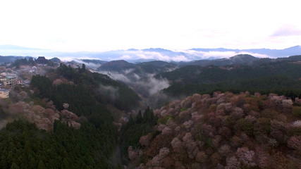 空撮 奈良県 吉野 千本桜