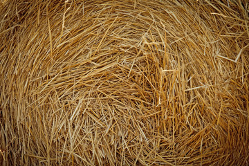 Dry straw. Background