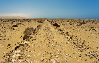 Desert of  Fuerteventura in area Costa Calma and Istmo de la Par