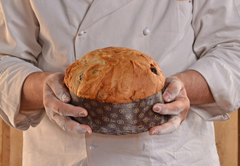 Manos de un panadero sujetando un panettone recien horneado. - obrazy, fototapety, plakaty