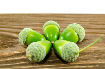 Acorns
