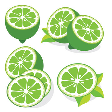 Lime vector illustrations