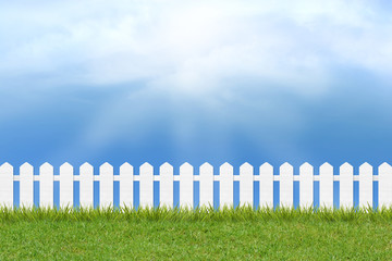 grass and fence under blue sky and clouds