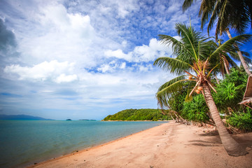 Beautiful tropical beach with palm trees in Koh Samui