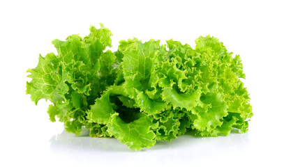 Lettuce isolated on the white background