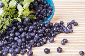 scattered blueberries 