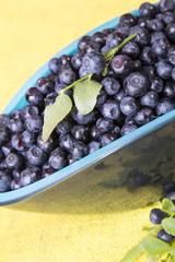 scattered blueberries
