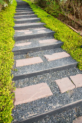 Landscaping in the garden