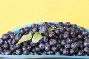 scattered blueberries
